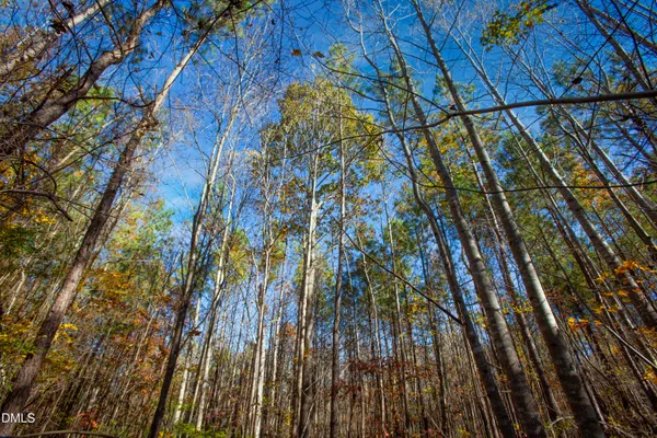$190,000 | 0 Blacks Road, Macon, NC 27551