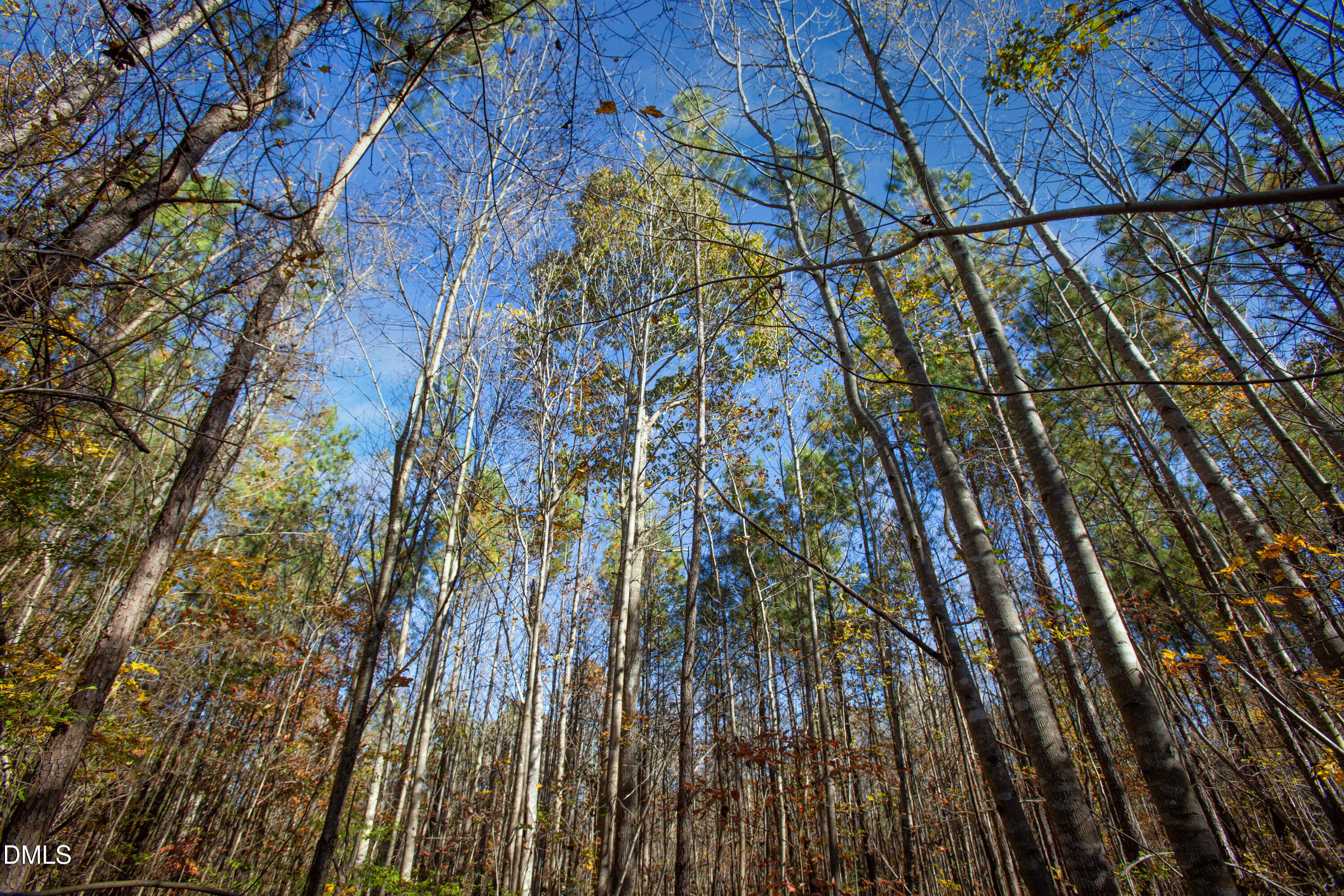 0 Blacks Road Macon, NC 27551 - Photo 12 of 15 a view of outdoor space and deck