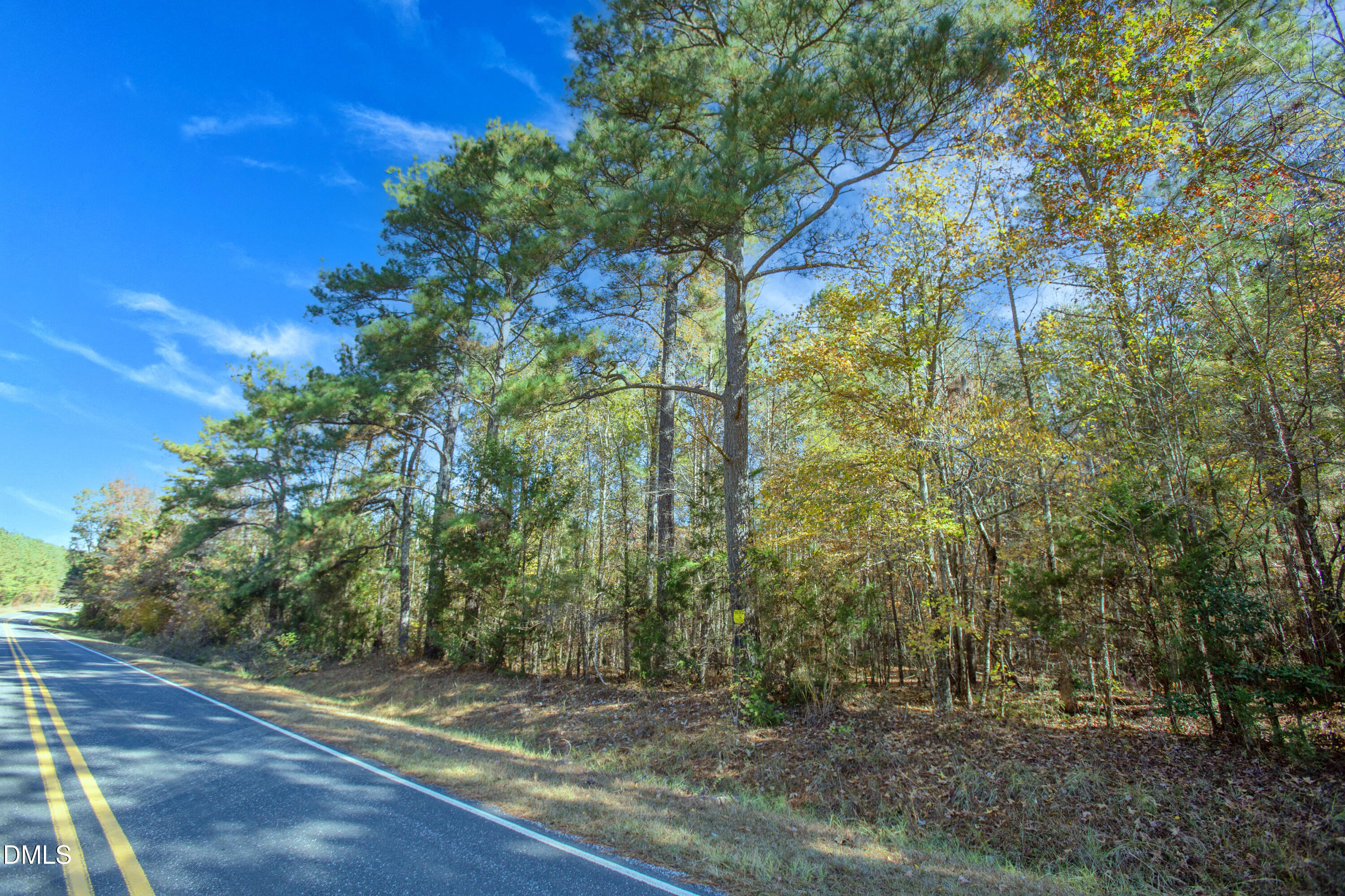 0 Blacks Road Macon, NC 27551 - Photo 14 of 15 a view of a yard with plants and trees