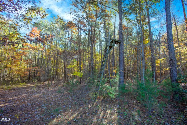 $190,000 | 0 Blacks Road, Macon, NC 27551