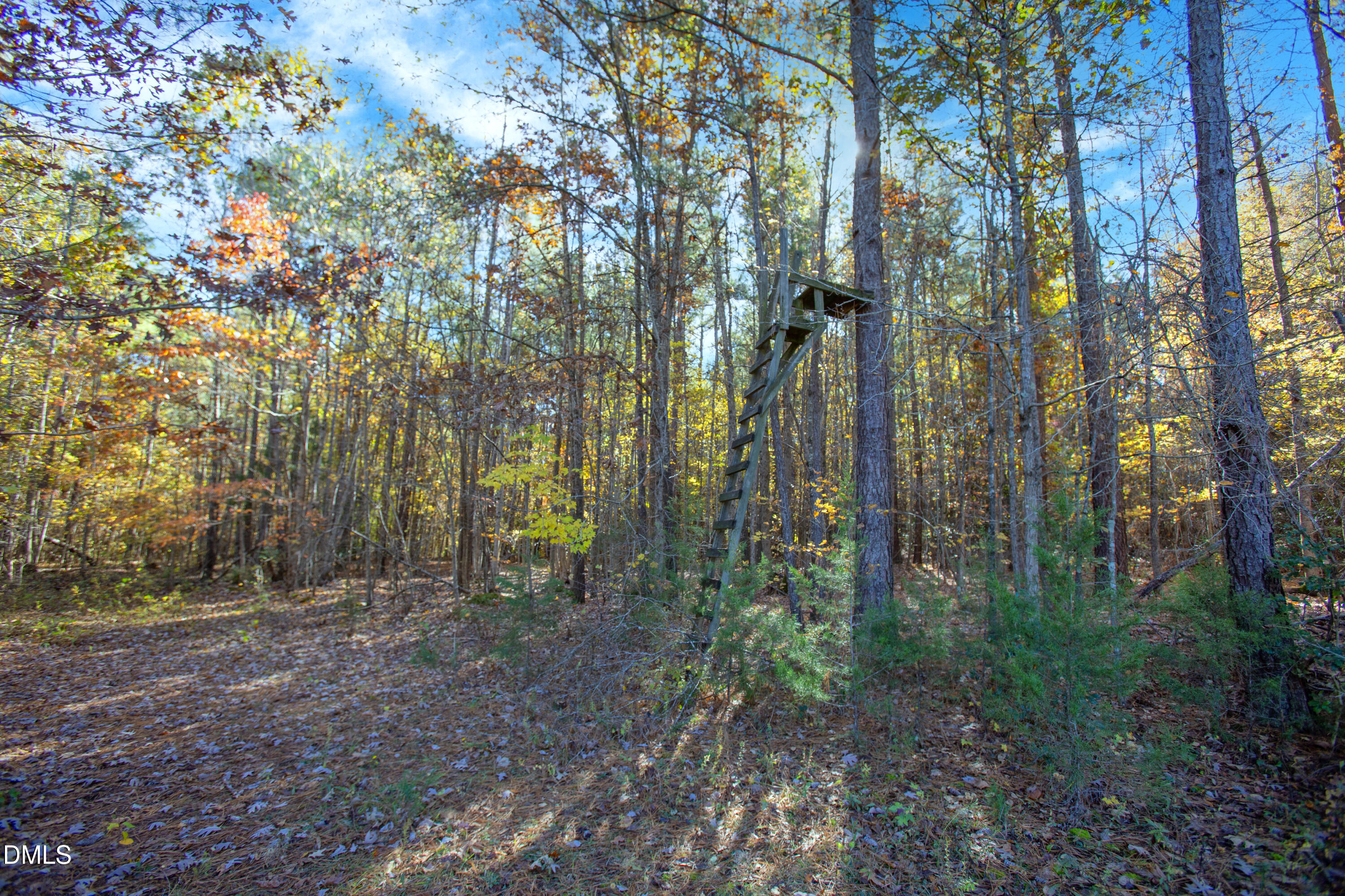 0 Blacks Road Macon, NC 27551 - Photo 15 of 15 a view of outdoor space and trees