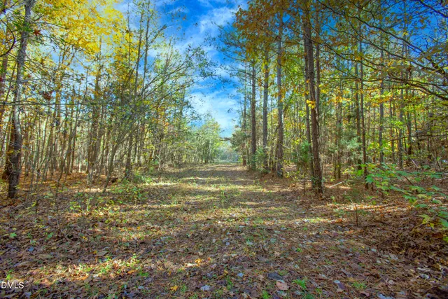 a view of a yard with trees
