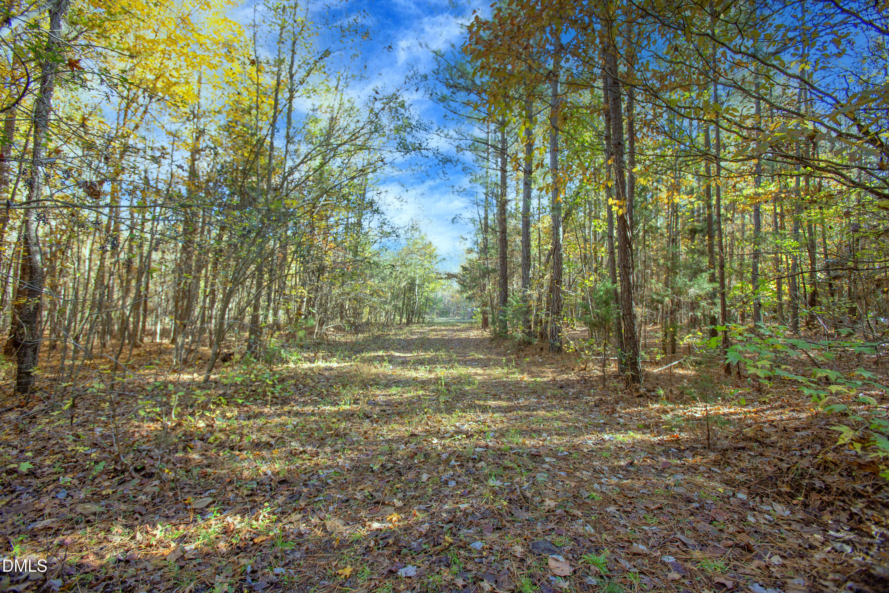 0 Blacks Road Macon, NC 27551 - Photo 2 of 15 a view of a yard with trees