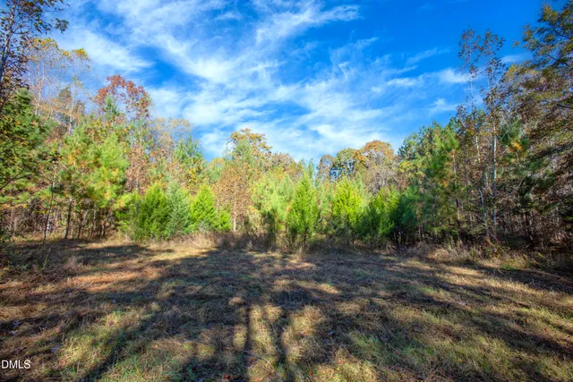 a view of outdoor space and trees