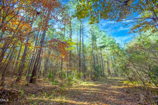 $190,000 | 0 Blacks Road, Macon, NC 27551