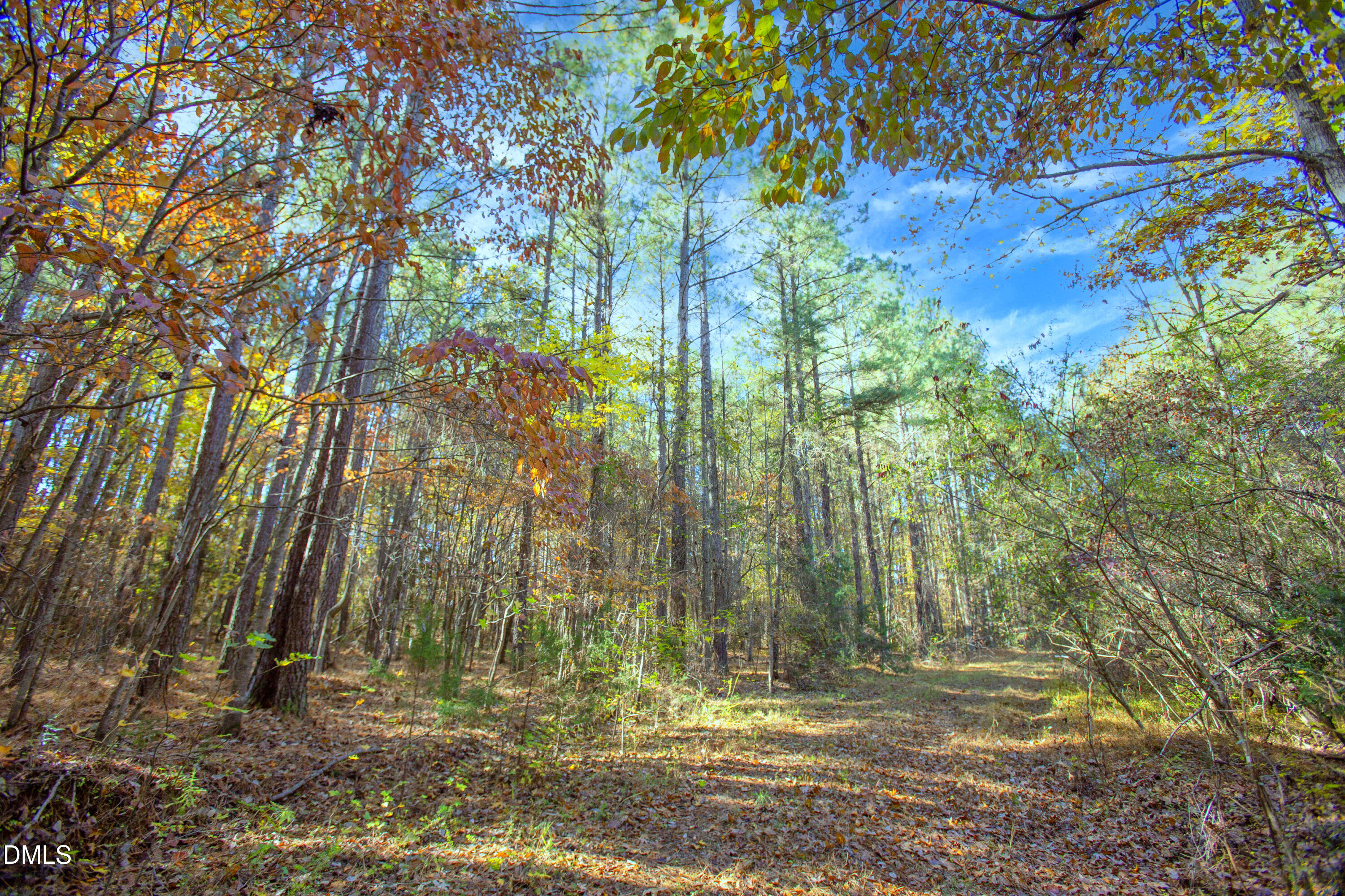 0 Blacks Road Macon, NC 27551 - Photo 4 of 15 a view of backyard with green space