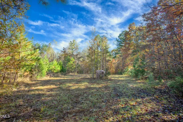 a view of outdoor space with trees all around