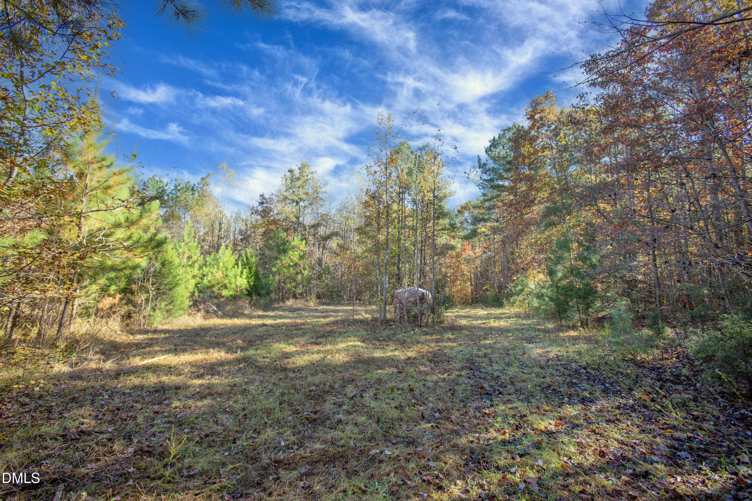 0 Blacks Road Macon, NC 27551 - Photo 5 of 15 a view of outdoor space with trees all around