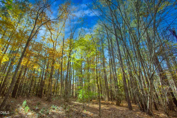 $190,000 | 0 Blacks Road, Macon, NC 27551