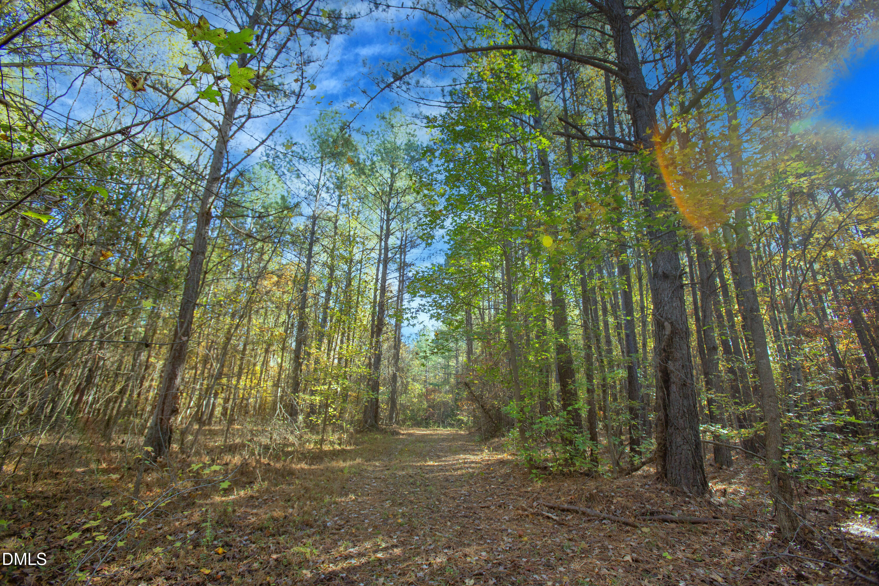 0 Blacks Road Macon, NC 27551 - Photo 7 of 15 a view of backyard with green space