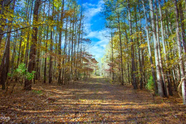 $190,000 | 0 Blacks Road, Macon, NC 27551