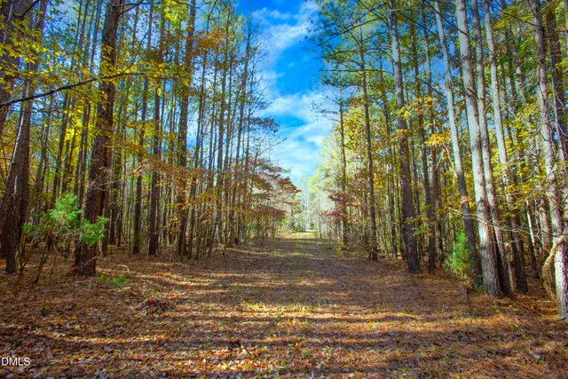 a view of backyard space