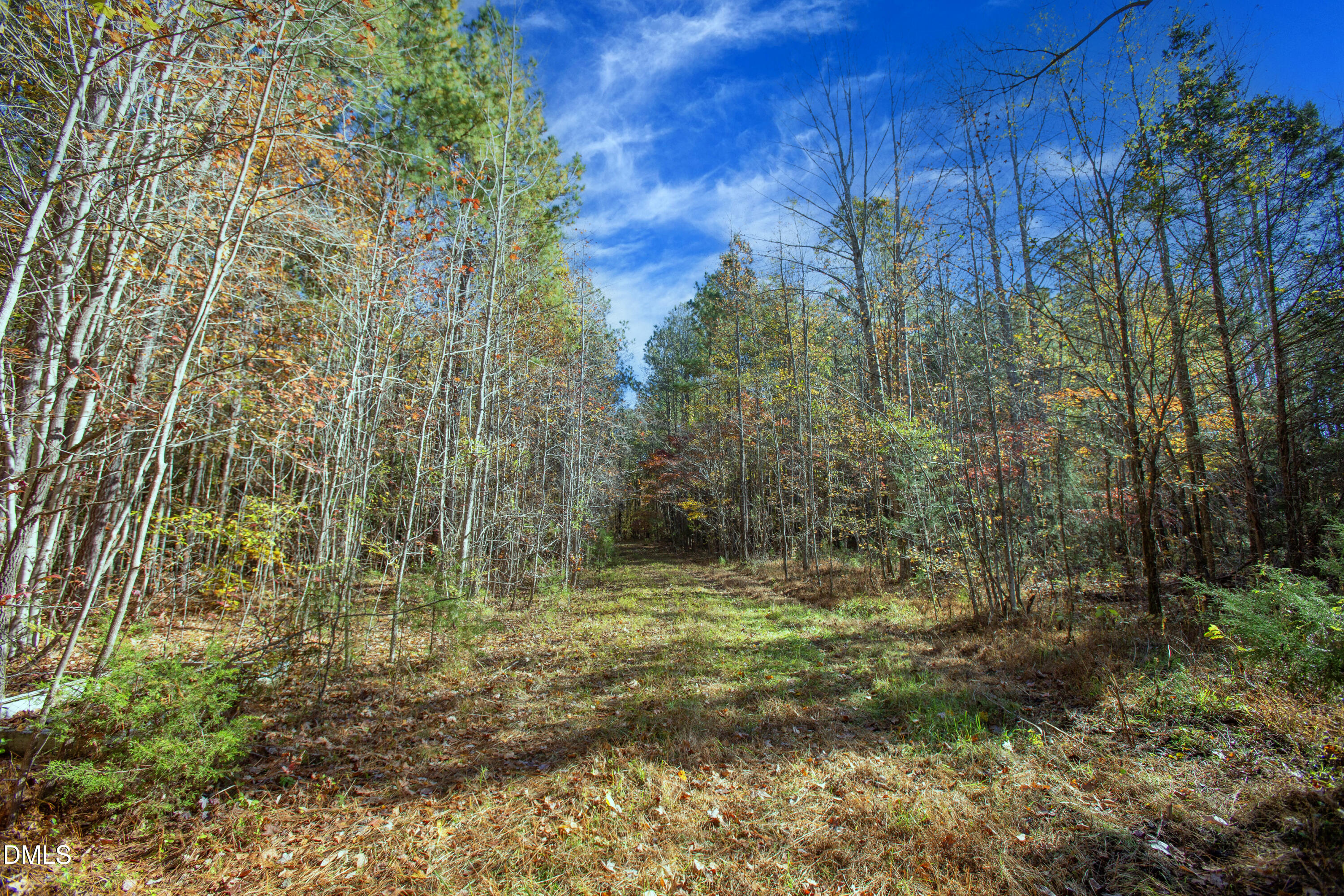 0 Blacks Road Macon, NC 27551 - Photo 9 of 15 a big yard with lots of green space and trees