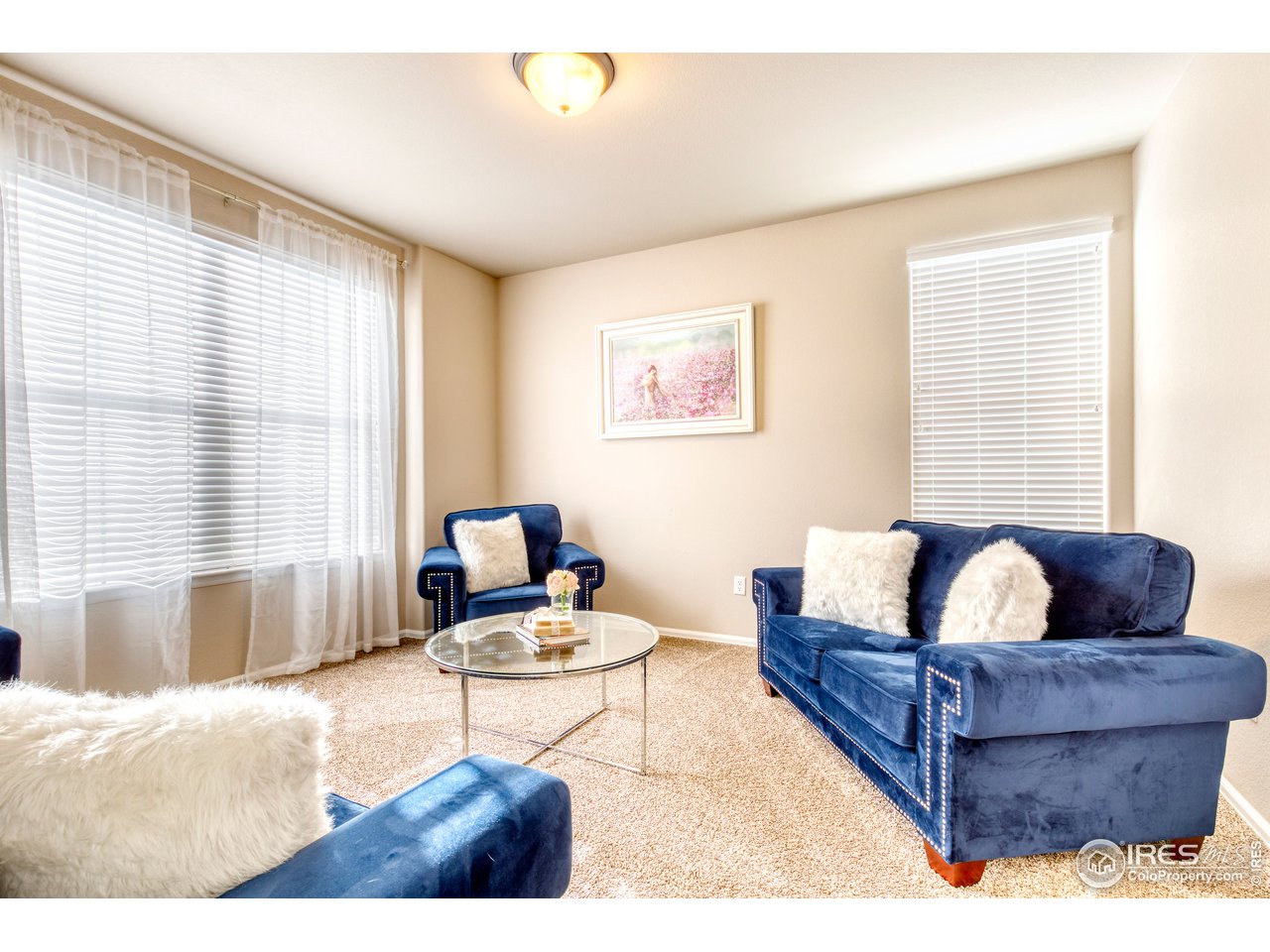 8607 15th St Road Greeley, CO 80634 - Photo 6 of 20 Living Room