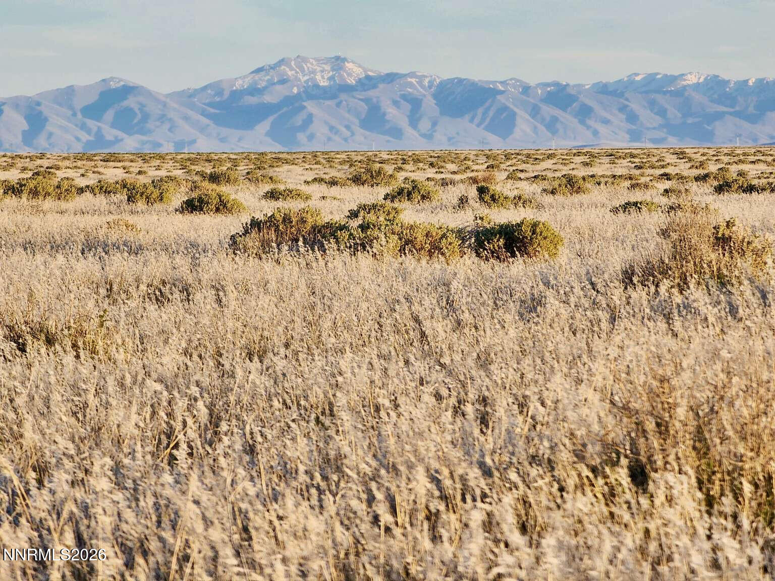 5 Elevenmile Well Road Golconda, NV 89414 - Photo 14 of 14 Sharp.14