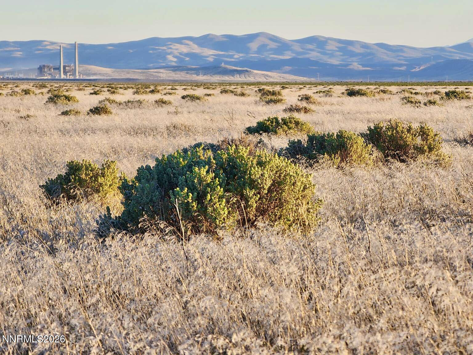 5 Elevenmile Well Road Golconda, NV 89414 - Photo 4 of 14 Sharp.4