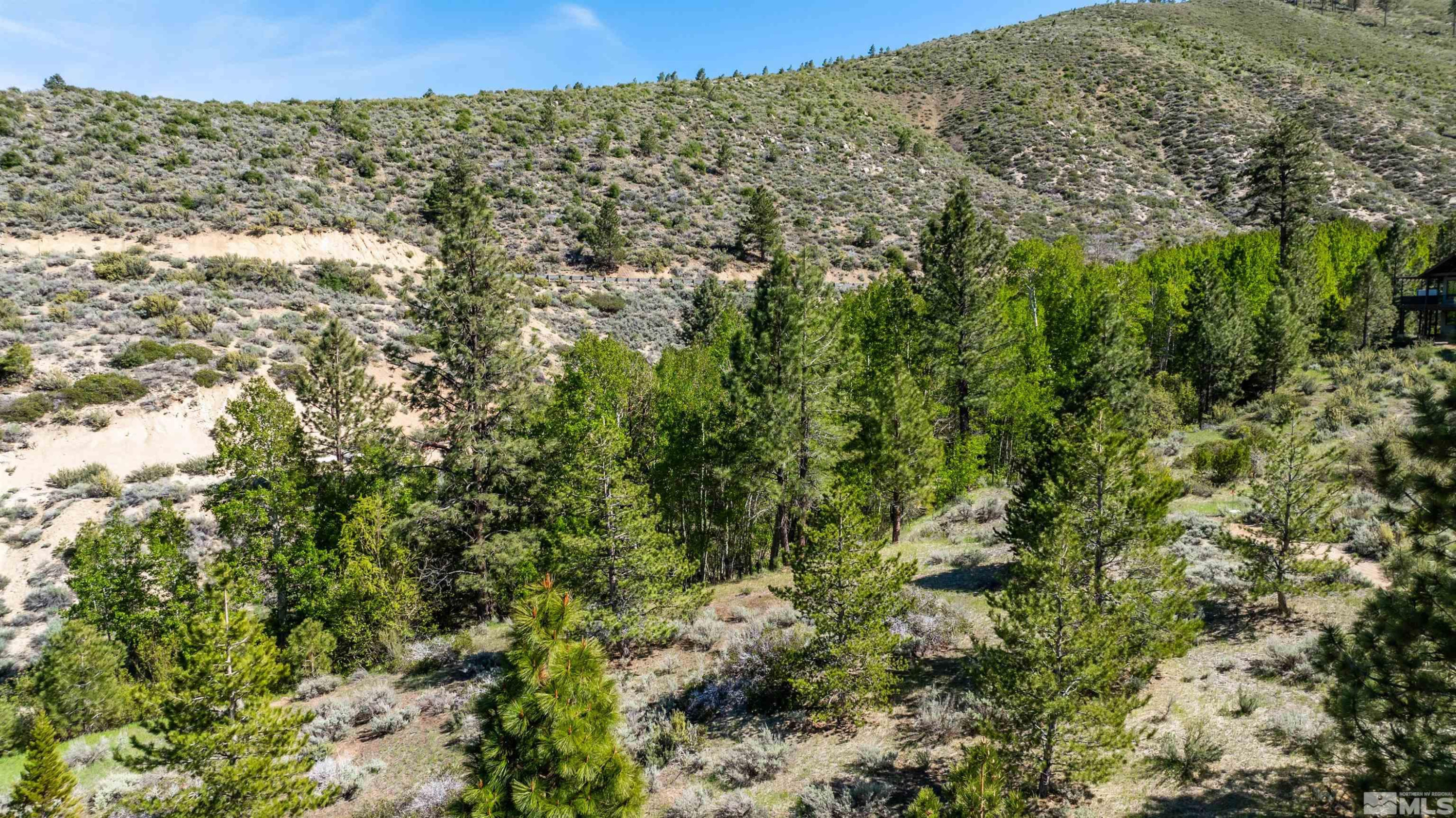 7440 Bryan Canyon Road Washoe Valley, NV 89704 - Photo 8 of 9 Photo 8