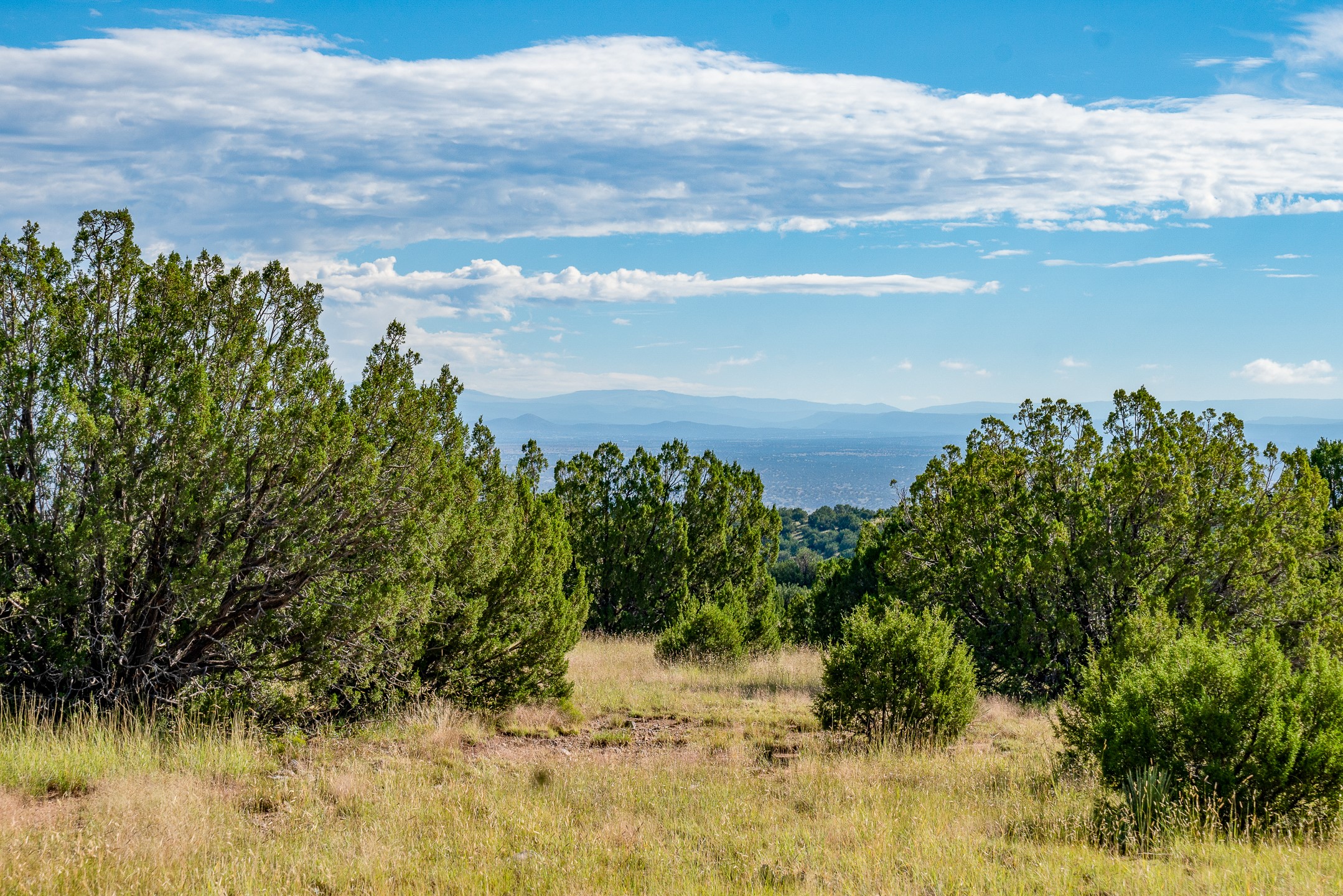 95 Grenfell Ranch Road Cerrillos, NM 87010 - Photo 10 of 47