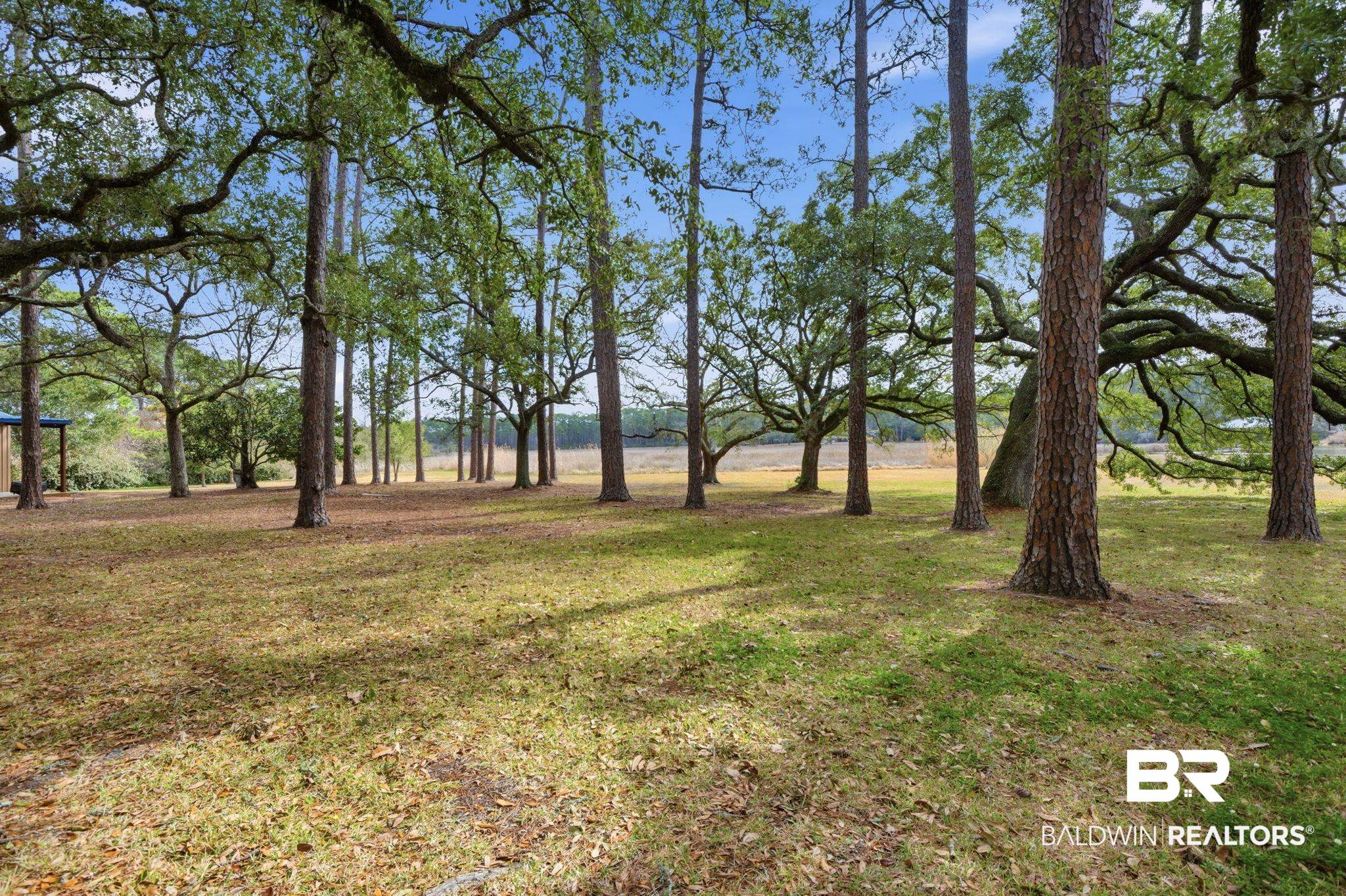 15025 Bellingrath Road Coden, AL 36523 - Photo 28 of 79 View of green lawn