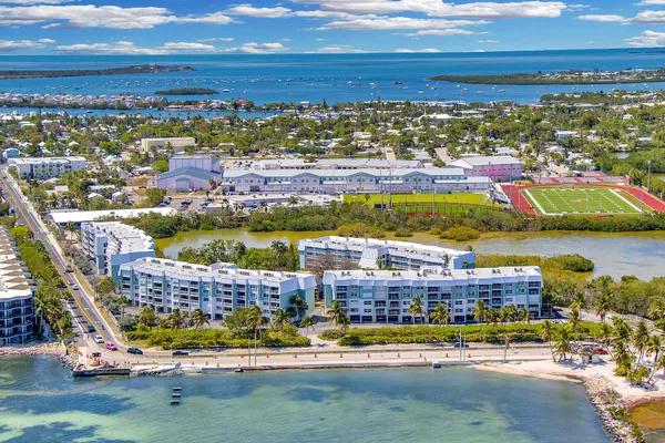 a view of a tennis ground with large trees