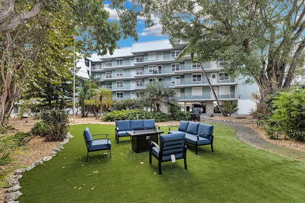 a view of a patio with chairs potted plants and a large tree