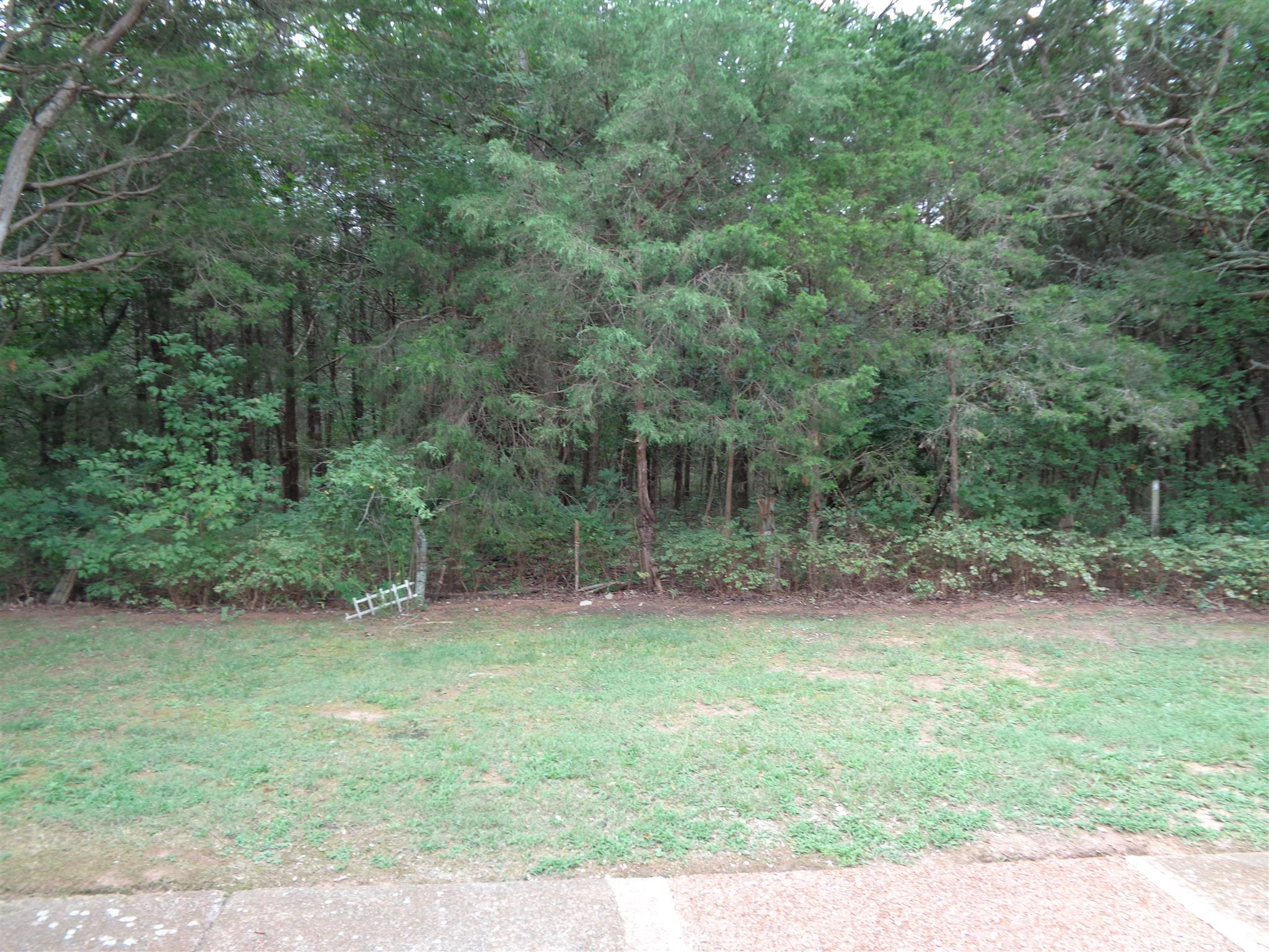 4001 Anderson Road, Unit I55 Nashville, TN 37217 - Photo 14 of 15 The view from the front door.