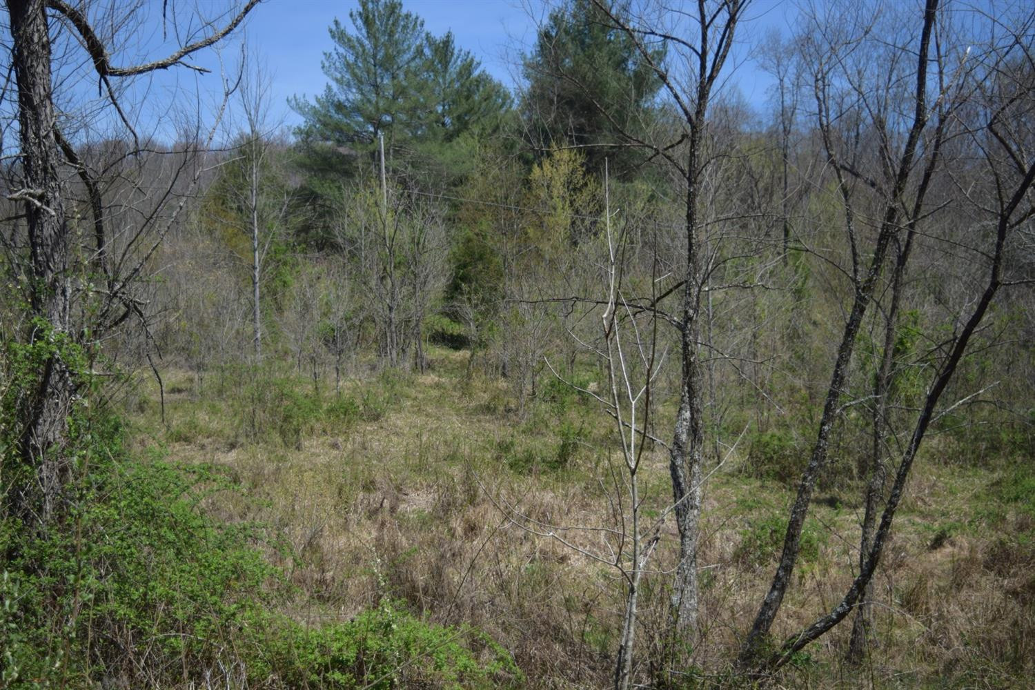 9999 Teges Creek Road Manchester, KY 40962 - Photo 18 of 32 Photo 19
