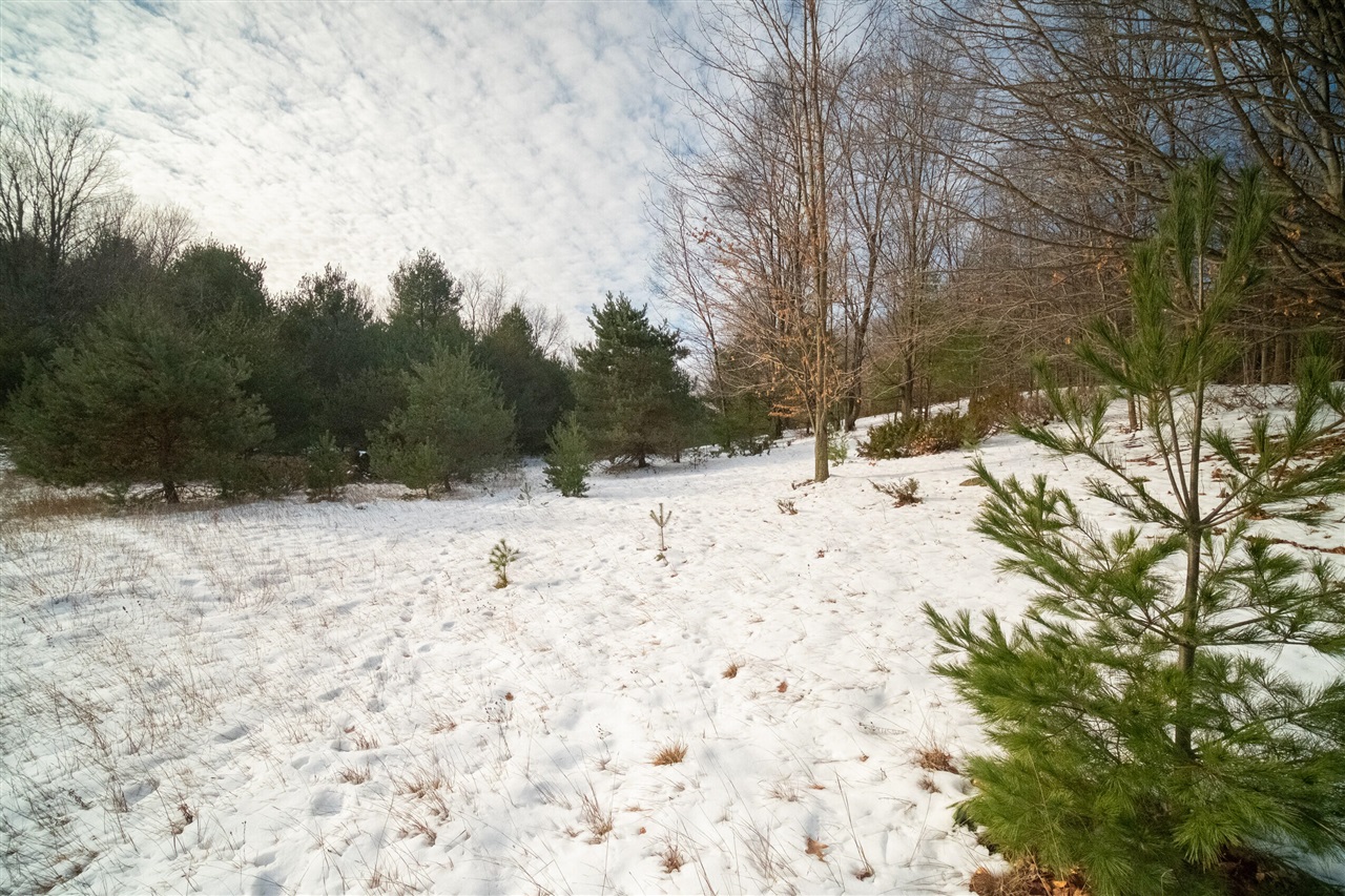 0 Erdman Road Onekama, MI 49675 - Photo 60 of 69 Gallery Image 60