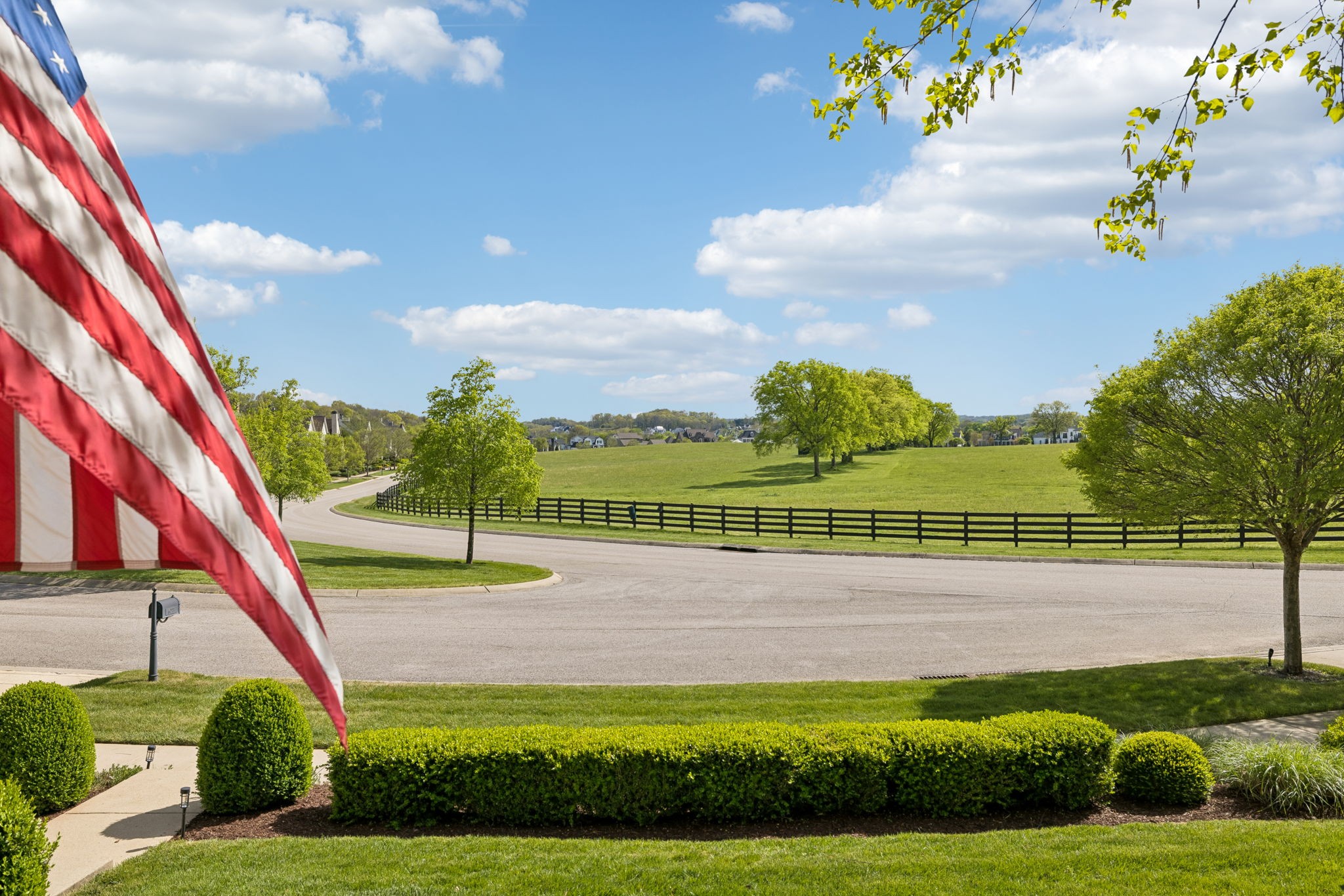 6033 Native Pony Trail College Grove, TN 37046 - Photo 5 of 87