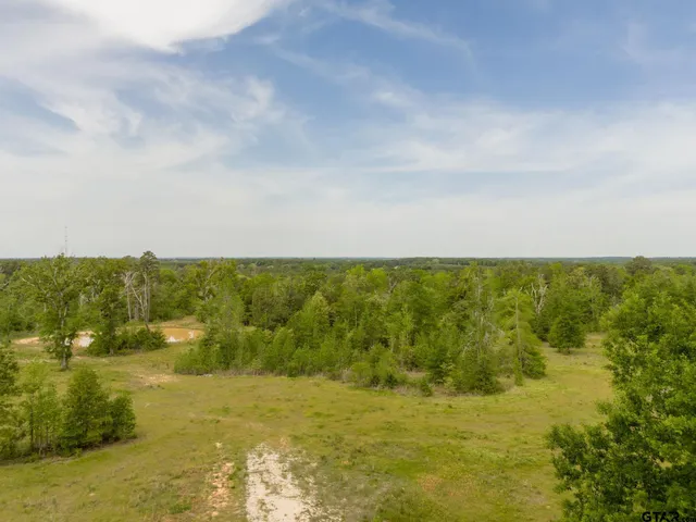 a view of a lake with a city