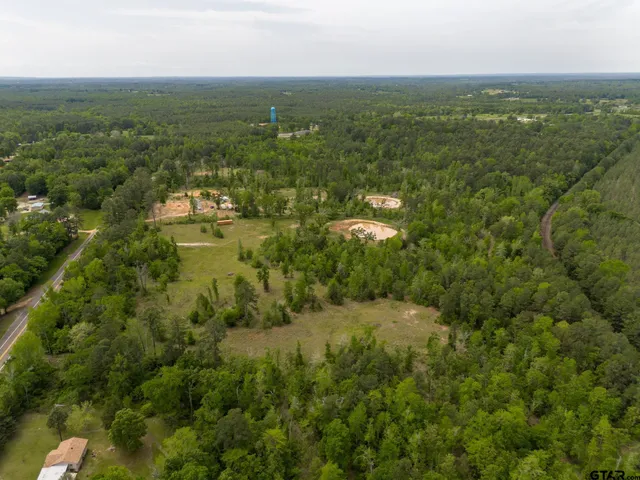an aerial view of residential houses with outdoor space and trees