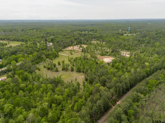 an aerial view of residential houses with outdoor space and trees