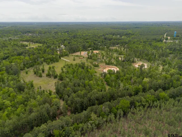 a view of a city with lush green forest