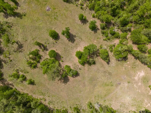a view of a dry yard with lots of bushes