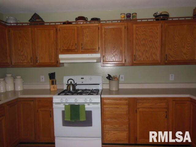 16 Stone Forge Flora, IL 62839 - Photo 8 of 23 Gallery Image 8