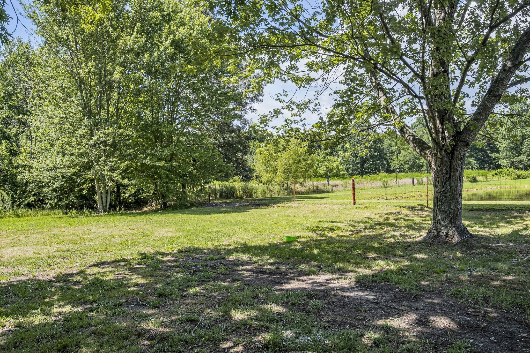 3289 Buffalo Road Ethridge, TN 38456 - Photo 11 of 45 a view of a yard with a tree