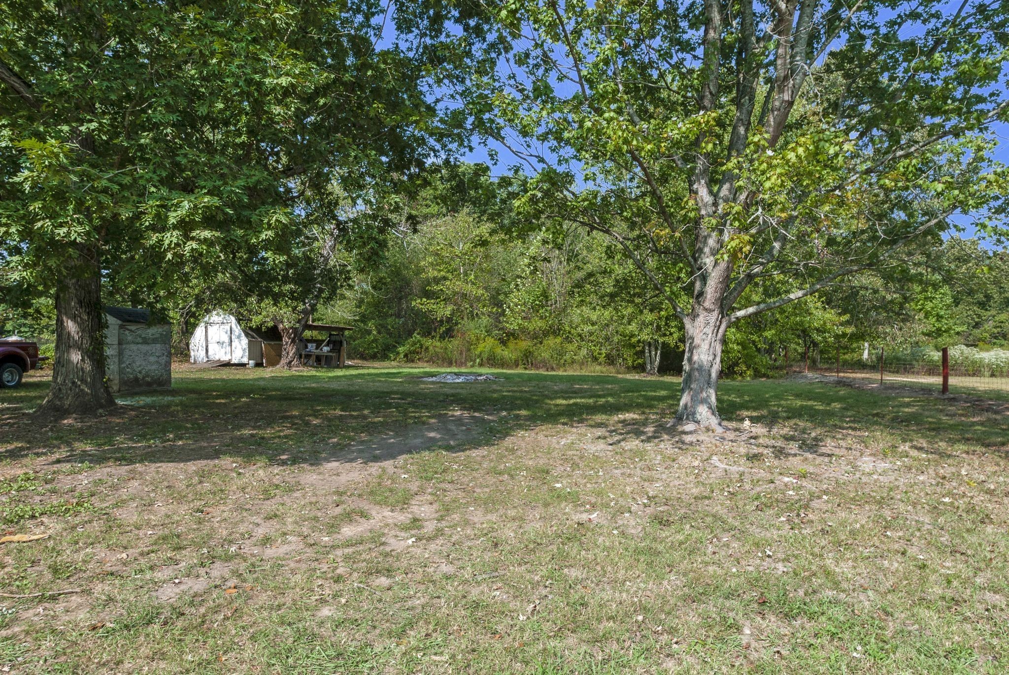 3289 Buffalo Road Ethridge, TN 38456 - Photo 41 of 45 a view of a tree in a yard