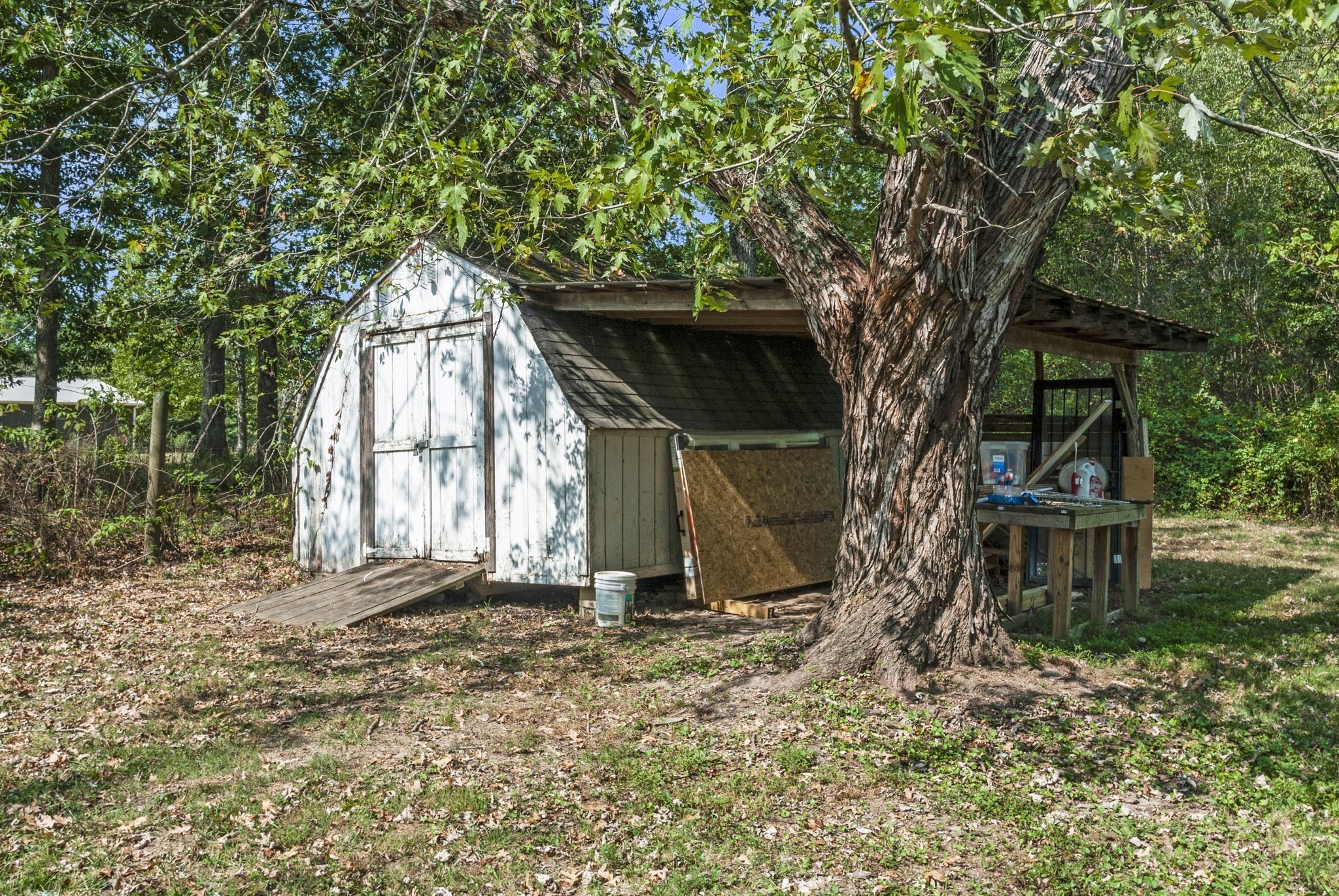 3289 Buffalo Road Ethridge, TN 38456 - Photo 42 of 45 a backyard of a house with lots of green space