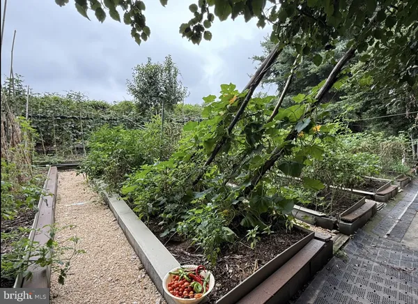 a view of a backyard of the house
