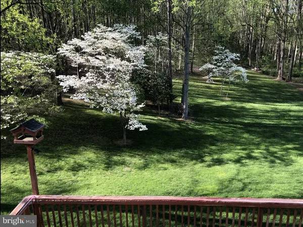 a view of outdoor space and yard