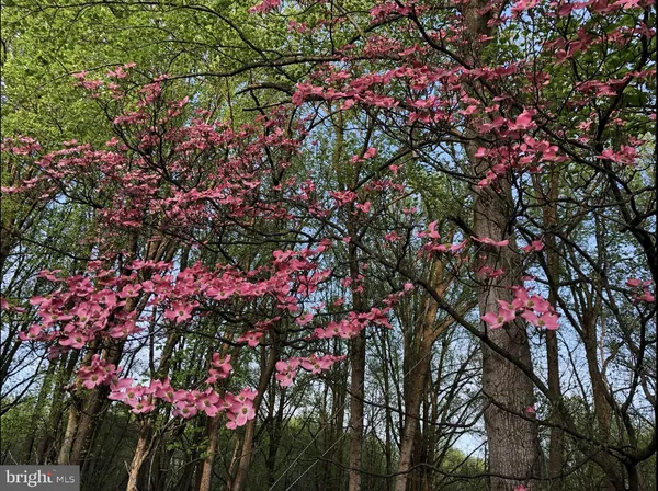 a view of a street with a houses