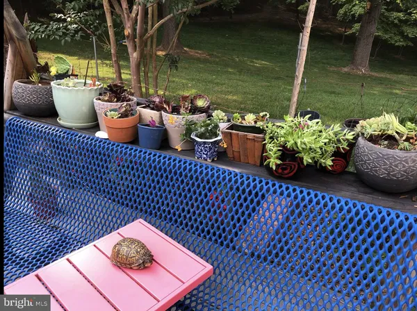 a close view of sink and utility