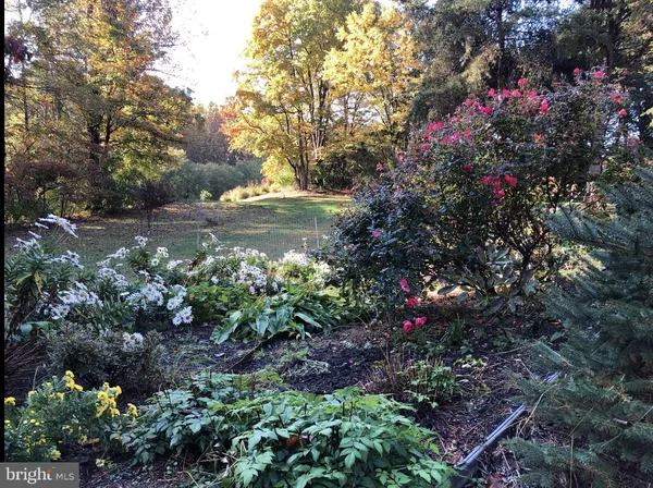 a backyard of a house with lots of trees