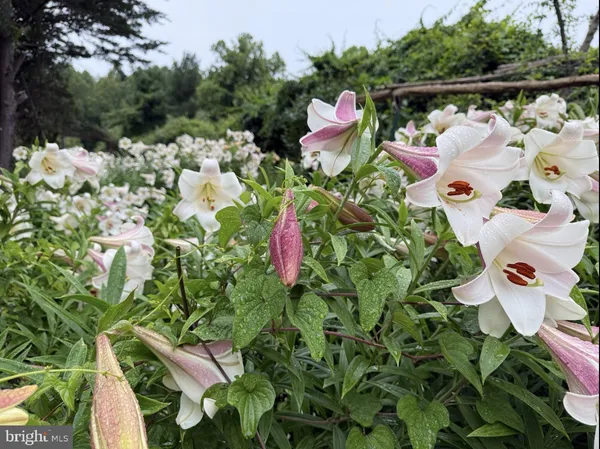 $6,250 | 12413 Pueblo Road, Gaithersburg, MD 20878