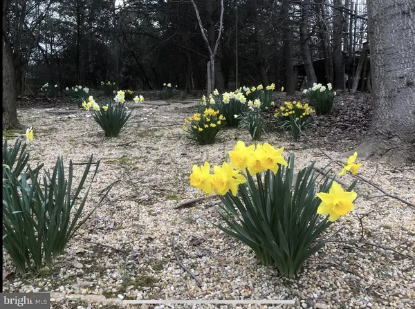 $6,250 | 12413 Pueblo Road, Gaithersburg, MD 20878