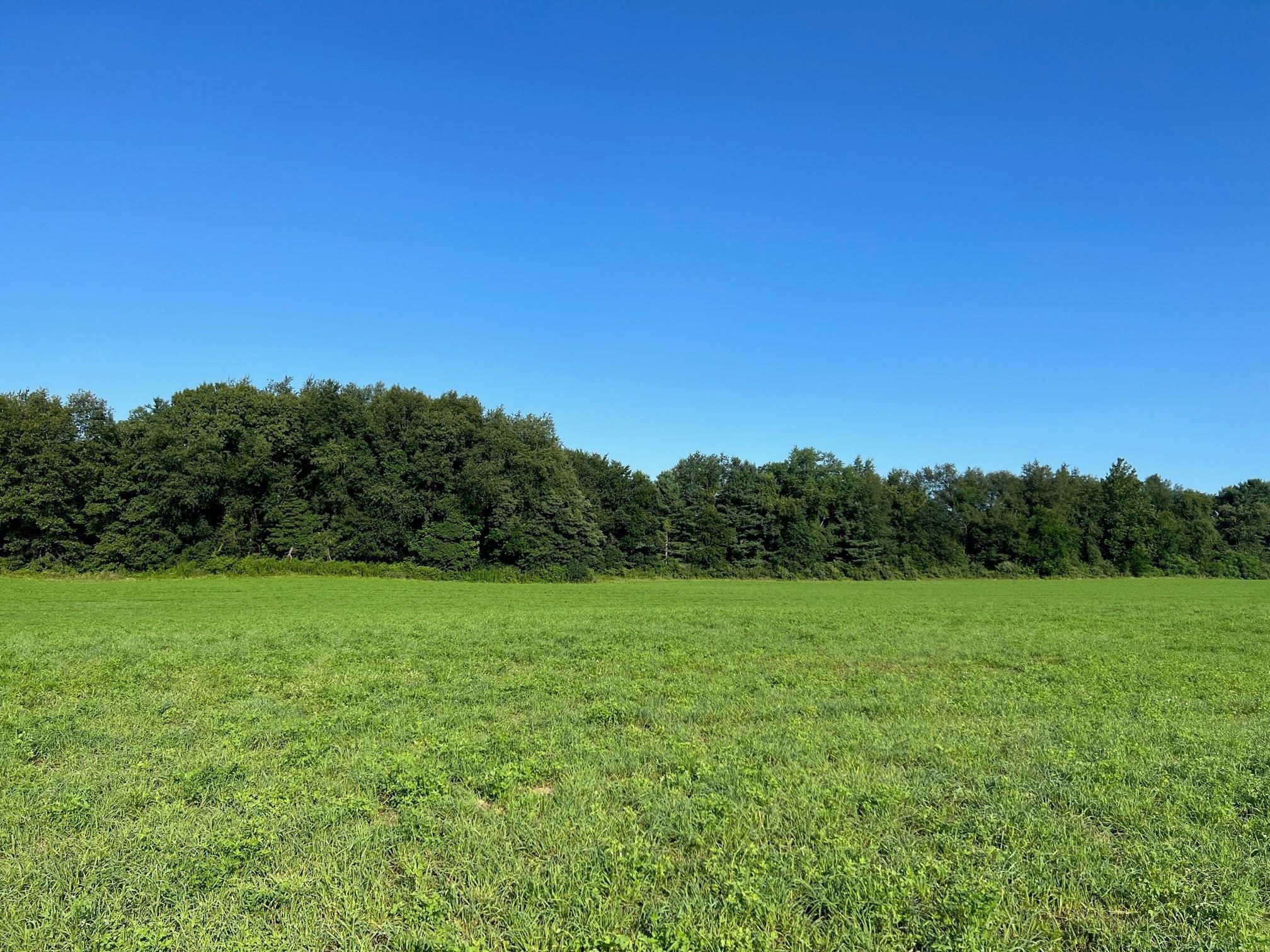 Muckshaw Road Plymouth, IN 46563 - Photo 8 of 22 Gallery Image 8