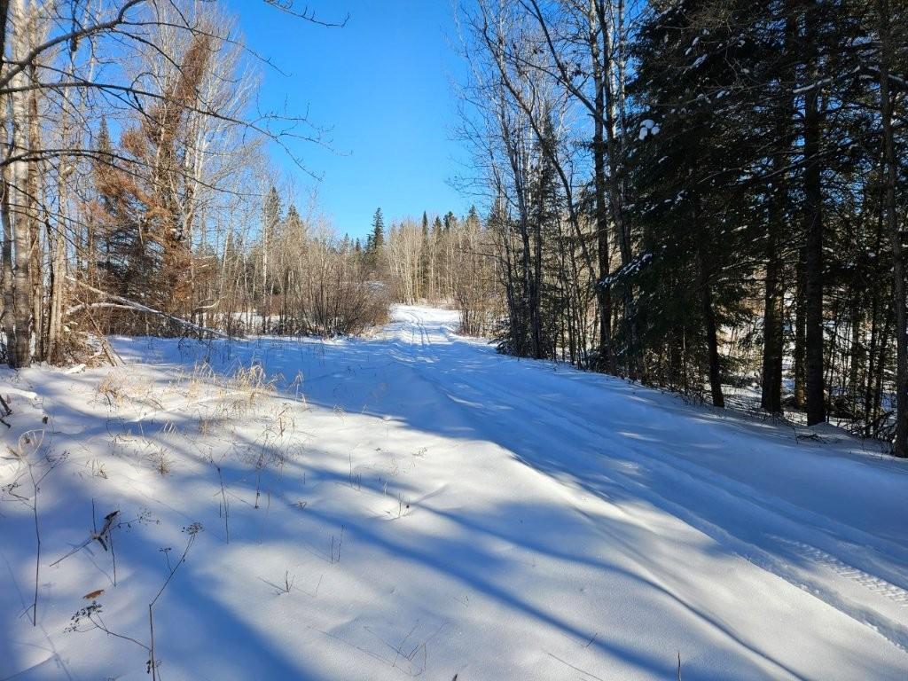 21601 300th Street Bagley, MN 56621 - Photo 69 of 82