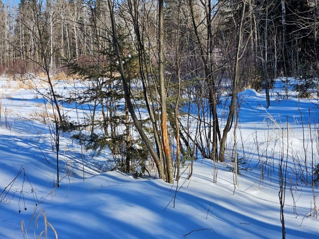 21601 300th Street Bagley, MN 56621 - Photo 70 of 82