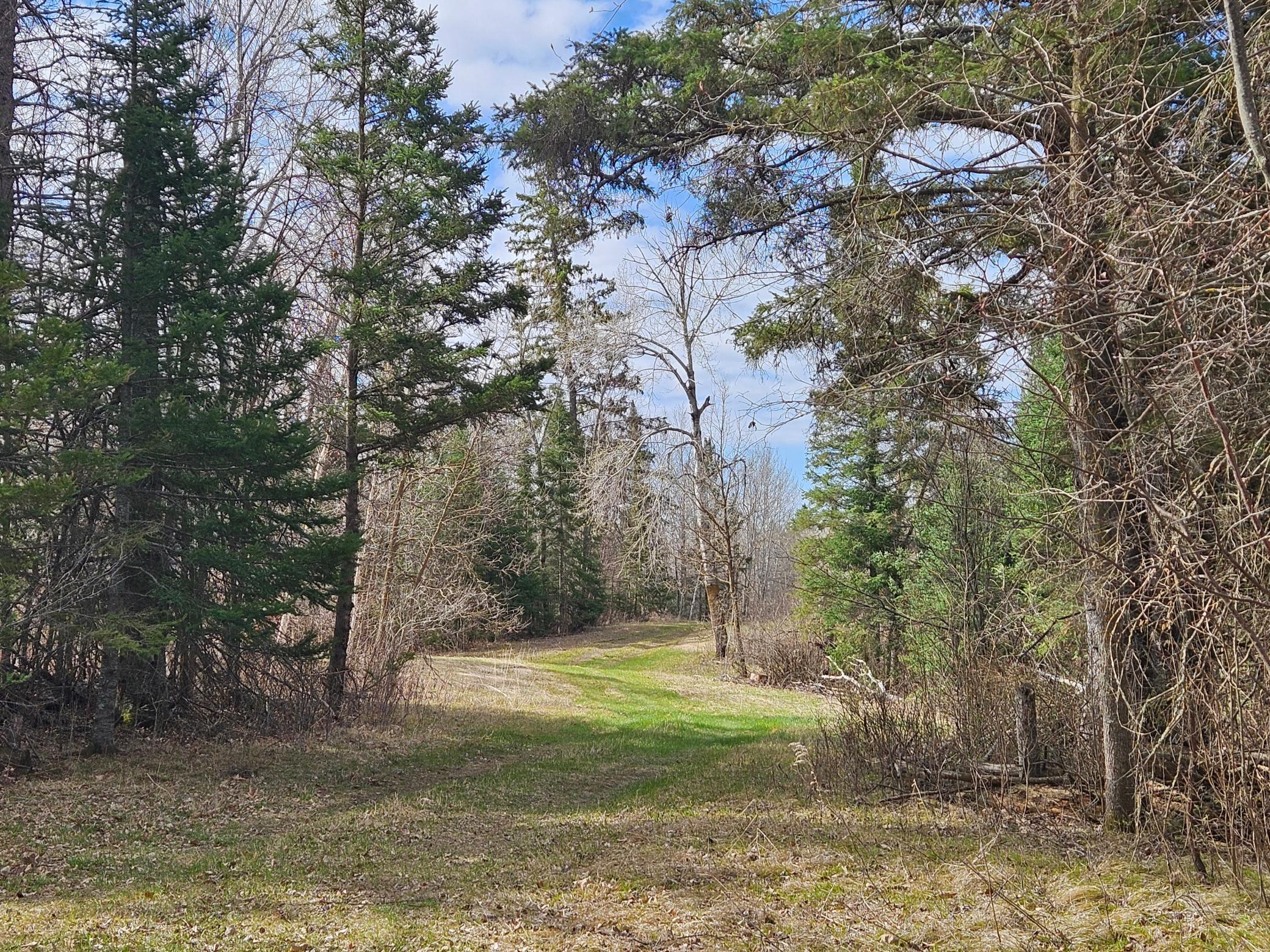 21601 300th Street Bagley, MN 56621 - Photo 71 of 90