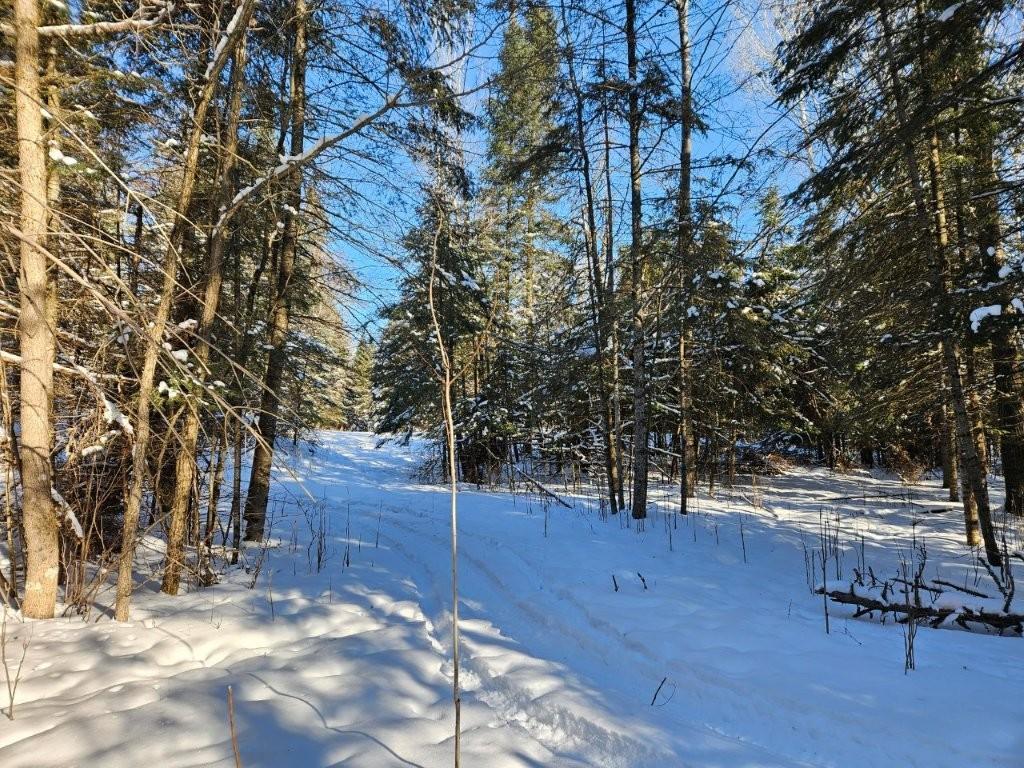 21601 300th Street Bagley, MN 56621 - Photo 74 of 82